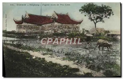Cartes postales Tonkin Haiphong Pagode route de Phu Liem