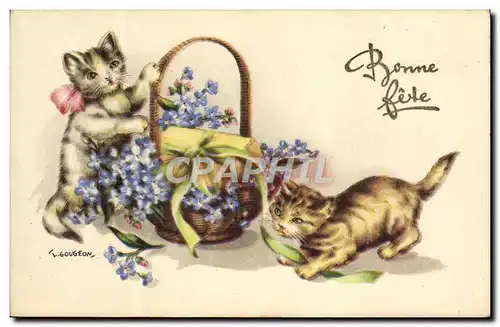 Cartes postales Chats Chatons