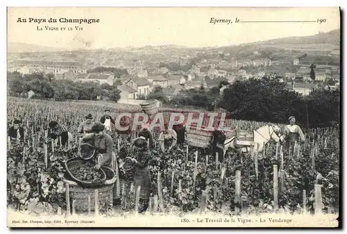 Ansichtskarte AK Au pays du Champagne La vigne et le vin Epernay