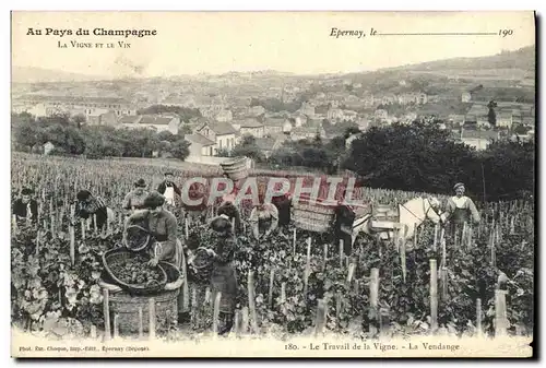 Cartes postales Au pays du Champagne La vigne et le vin Epernay