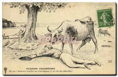 Cartes postales Folklore Plaisirs champetres Vache