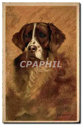 Cartes postales Chien Epagneul