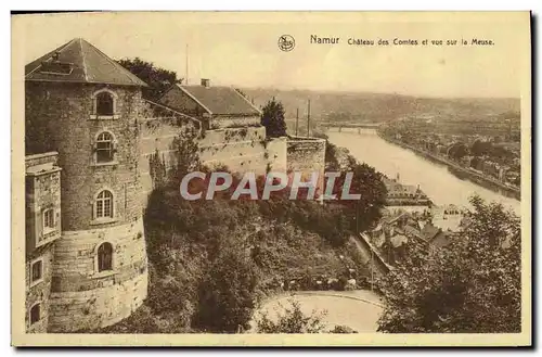 Cartes postales Namur Chateau des Comtes et vue sur la Meuse
