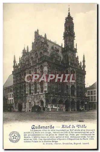 Cartes postales Audenarde Hotel de Ville