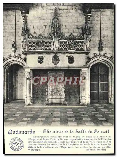 Cartes postales Audenarde Cheminee de la Salle du Conseil