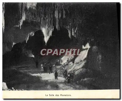 Cartes postales La Salle des Mamelons