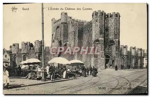 Cartes postales Gand L&#39entree du chateau des Comtes