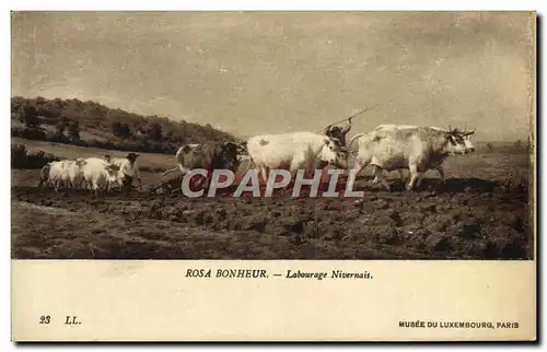 Ansichtskarte AK Rosa Bonheur Labourga eNivernais Musee du Luxembourg Boeufs