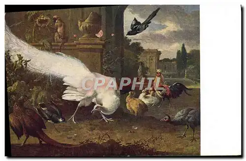 Cartes postales Der weise Pfau Julius Bard Berlin D&#39Hondecoeter