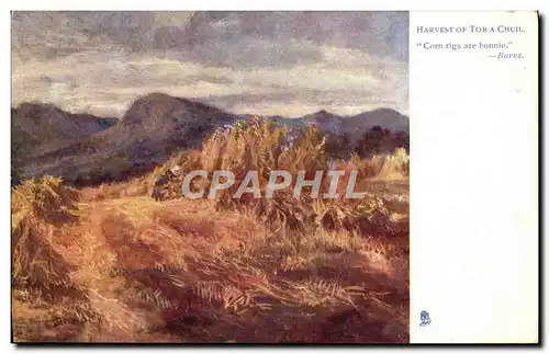 Cartes postales Fantaisie Harvest of Tor a Chuil