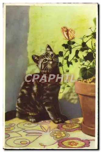 Cartes postales Fantaisie Chat