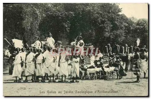Cartes postales Les Gallas au Jardin Zoologique d'Acclimatation Chevre Paris Autruche Chameau