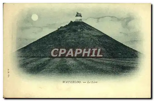 Cartes postales Waterloo Le Lion