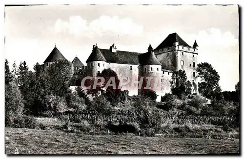 Moderne Karte La France Comte Pittoresque environs de Lons Le Saunier le chateau du Pin