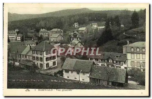 Cartes postales Hohwald Vue generale