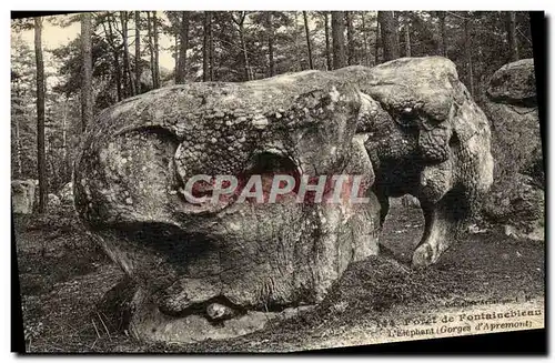 Cartes postales Foret De Fontainebleau L&#39Elephant Gorges d&#39Apremont