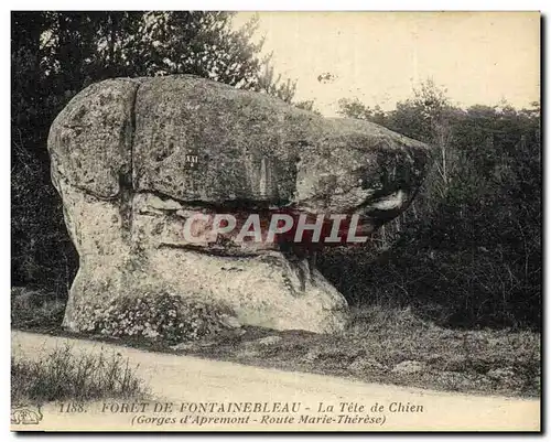 Cartes postales Foret De Fontainebleau La tete de chien Gorges d&#39Apremont Route Marie Therese