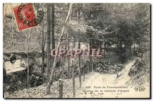 Ansichtskarte AK Foret de Fontainebleau Sentier de la caverne d&#39augas