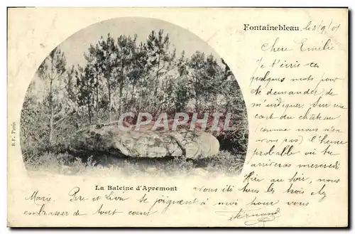 Ansichtskarte AK Fontainebleau La Baleine d&#39Apremont