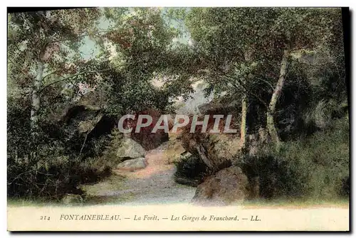 Cartes postales Fontainebleau La Foret les gorges de franchard