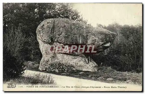 Cartes postales Foret De Fontainebleau La tete de chien Gorges d&#39Apremont Route Marie Therese