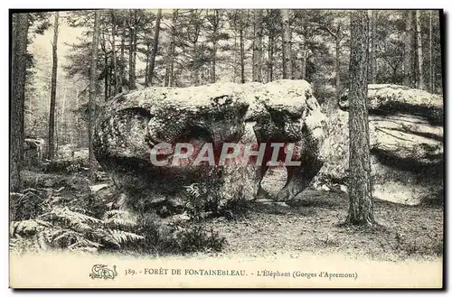 Cartes postales Foret De Fontainebleau L&#39Elephant Gorges d&#39Apremont