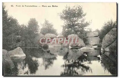 Cartes postales Foret De Fontainebleau Mare aux Biches