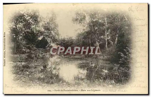 Ansichtskarte AK Foret De Fontainebleau Mare Aux Ligueurs