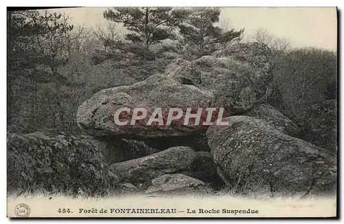 Ansichtskarte AK Foret De Fontainebleau La Roche suspendue