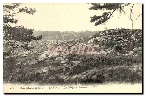 Ansichtskarte AK Fontainebleau La foret Les Gorges d&#39Apremont