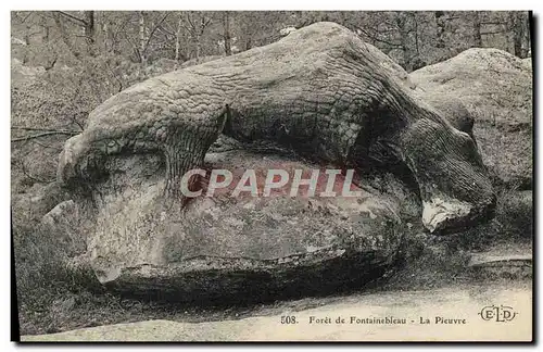 Cartes postales Foret De Fontainebleau La Pieuvre