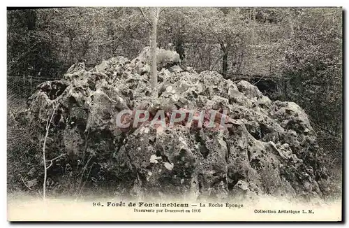 Ansichtskarte AK Foret De Fontainebleau La roche eponge