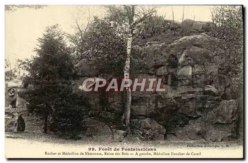 Ansichtskarte AK Foret De Fontainebleau rocher et medaillon de nemorosa reine des bois medaillon Foucher de Carei