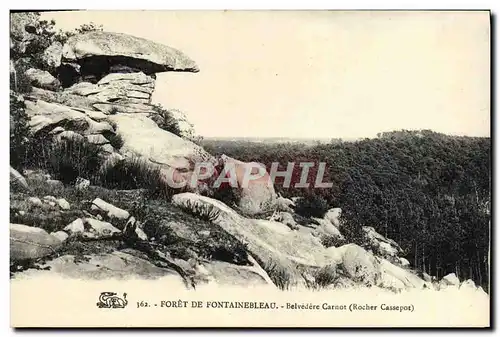 Cartes postales Foret De Fontainebleau Belvedere carnot Rocher Cassepot