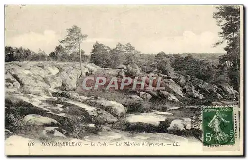 Ansichtskarte AK Fontainebleau La Foret les Platrieres d&#39apremont