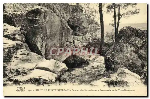 Ansichtskarte AK Foret De Fontainebleau Sentier des mastodontes Promenade de la Tour Denecourt