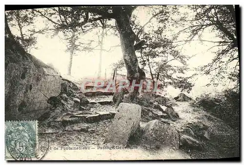 Ansichtskarte AK Foret De Fontainebleau Passage denecourt