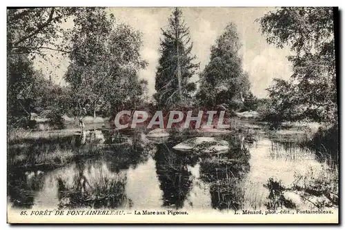 Ansichtskarte AK Foret De Fontainebleau La Mare Aux Pigeons