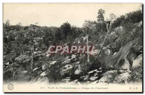 Cartes postales Foret De Fontainebleau Gorges De Franchard