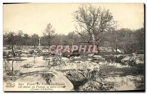 Ansichtskarte AK Foret De Fontainebleau Les mares du plateau de belle croix Cuvier Chatillon