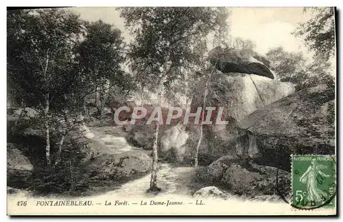 Cartes postales Fontainebleau La foret la dame jeanne