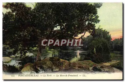 Cartes postales Fontainebleau La foret la mare de franchard