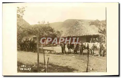 CARTE PHOTO 1927 Explorateurs sous les tropiques Chevaux