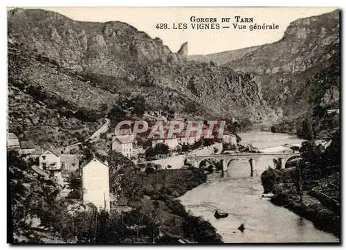 Ansichtskarte AK Gorges Du Tarn Les Vignes Vue generale