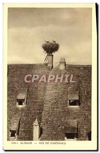 Cartes postales Alsace Nid de Cigognes