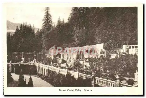 Cartes postales Terasa Castyel Peles Sinaia