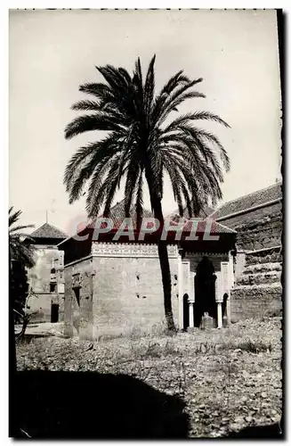 Cartes postales Marrakech