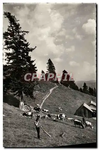 Cartes postales moderne La Vallee de Munster Ferme restaurant du Schalleren