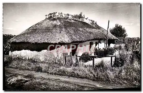 Cartes postales moderne Saint Jean de Monts Une Bourine