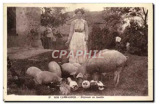 Ansichtskarte AK Nos Campagnes Dejeuner en famille Porc TRuie Cochon